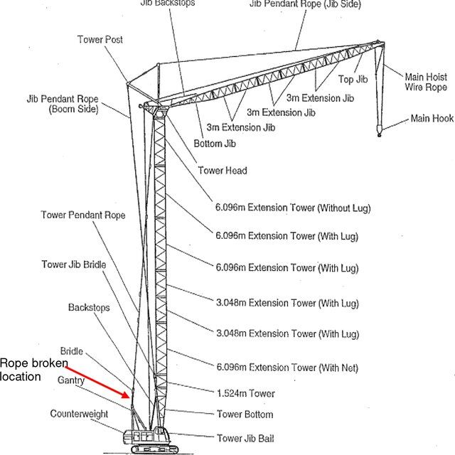 The Parts of a Crane and Their Purpose